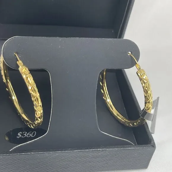 14K Gold Over Resin Hoop Diamond Cut Earrings Style Stunning Trendy Fashion NEW